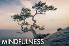 mindfulness.jpg